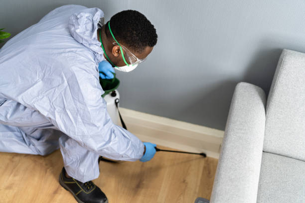 Best Indoor Pest Control  in Henagar, AL